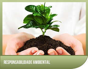 Responsabilidade Social - Respeito com o Meio Ambiente